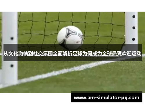 从文化激情到社交氛围全面解析足球为何成为全球最受欢迎运动