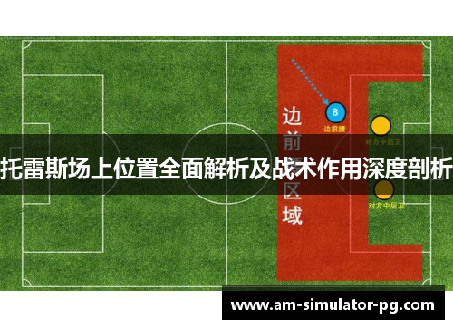 托雷斯场上位置全面解析及战术作用深度剖析