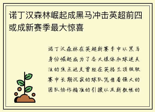 诺丁汉森林崛起成黑马冲击英超前四或成新赛季最大惊喜