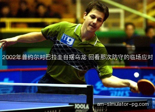 2002年普约尔对巴拉圭自摆乌龙 回看那次防守的临场应对